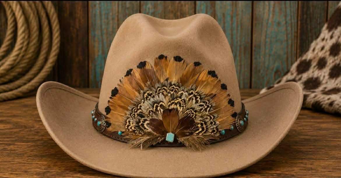 Western Feather Hat Patch: Embroidered Glue-On Applique (5 Inches)